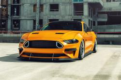 开云体育官网-生死时刻的冷血艺术家，德文·布克关键球摧毁灰熊，猛龙客场踏平孟菲斯