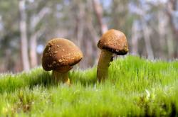 开云体育官网-意甲焦点战之夜，巴尔韦德硬仗之王的辉煌证明