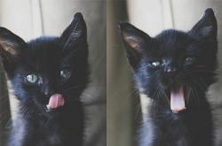 开云体育入口-平行时空的英雄，当公牛轻取雷霆，班凯罗在世界杯的赛场上悄然降临