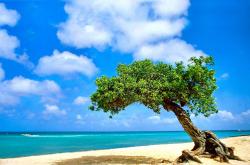 开云体育官网-马克西成关键先生，鹈鹕一波流带走森林狼