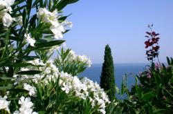 开云体育平台APP-巨鹿之殇，纽约收割者与拉文的压制级审判