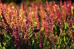 开云体育app-收割者德比，当绿茵场变成全球人才竞技场