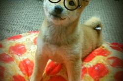 开云体育登录-基耶萨一锤定音，希腊险胜伊拉克晋级之路现曙光