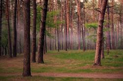 开云体育下载-米切尔无争议斩获全场最佳，快船力克76人展冠军相