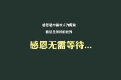 开云APP-默契之巅，梅西一击定乾坤—2026世界杯E组阿联酋完胜印度
