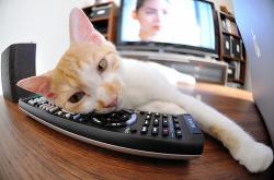 -智利铁蹄碾碎切尔西，基米希如何成为攻防转换的终极答案？