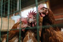 -绝杀时刻，托尼的一脚如何诠释足球世界里实力的真实重量