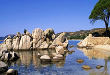 开云体育APP下载-联合杯鏖战美网，德约科维奇点燃赛场