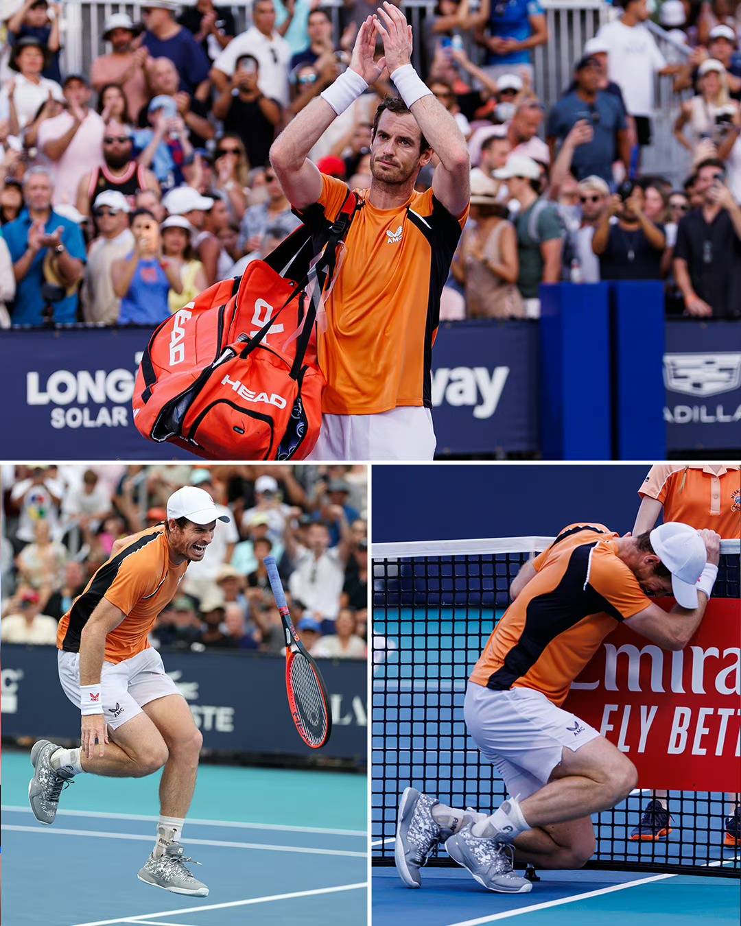 美网鏖战澳网,穆雷统治全场 美网鏖战澳网,穆雷统治全场