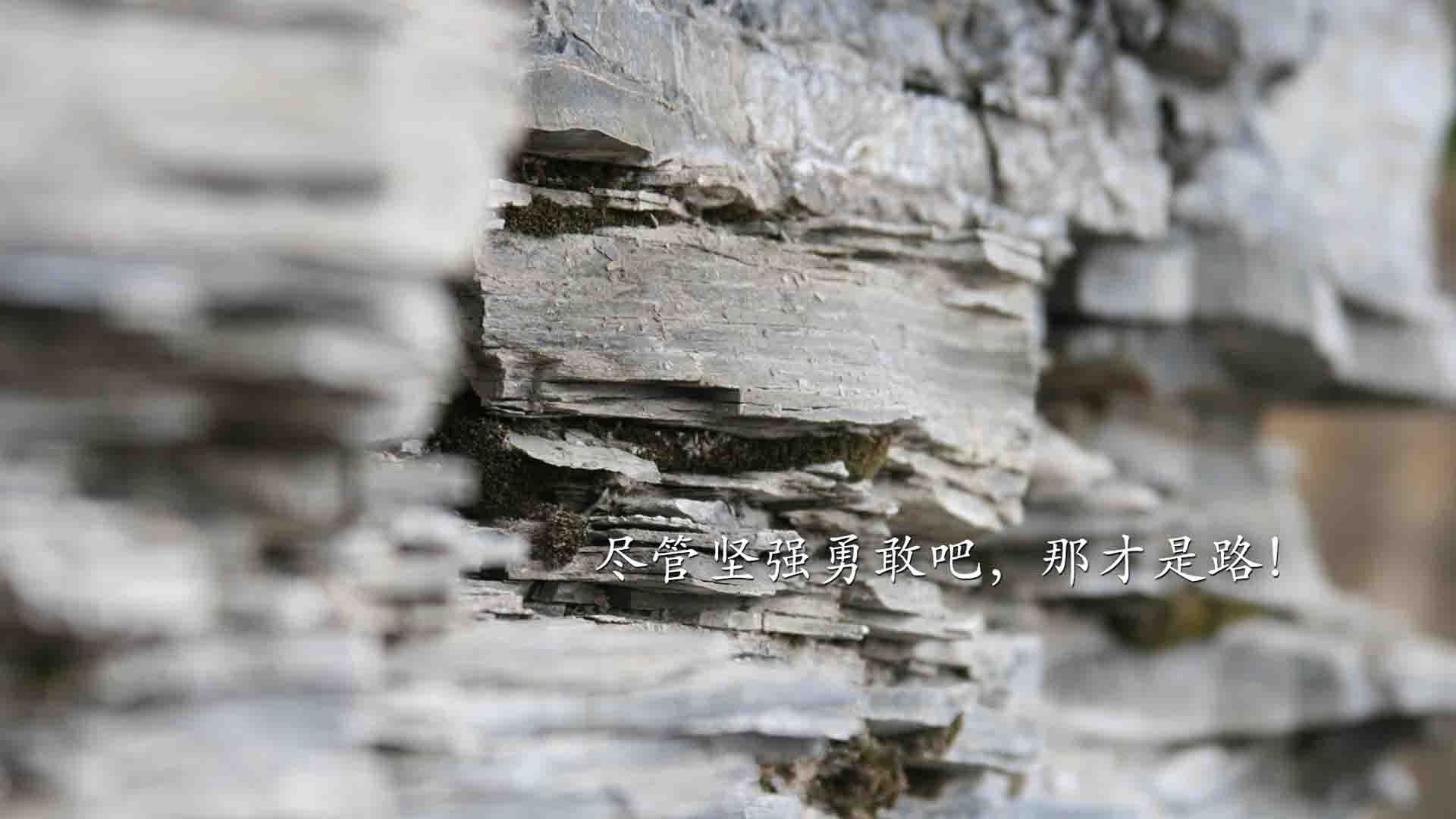 铁幕之下，当掘金封锁活塞，武切维奇如何完成沉沦与绽放的救赎