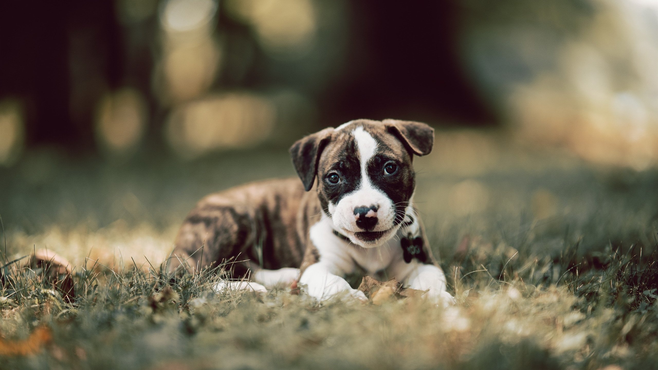 绝境乔治，那颗射穿命运的三分球