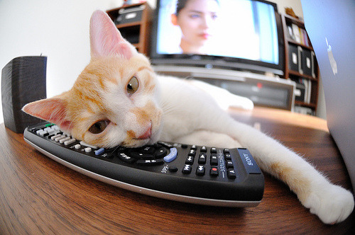 智利铁蹄碾碎切尔西，基米希如何成为攻防转换的终极答案？