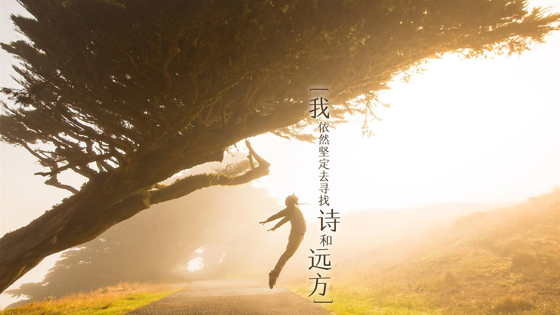 绿茵战火,土耳其激战几内亚,基米希压力淬炼下的华丽绽放