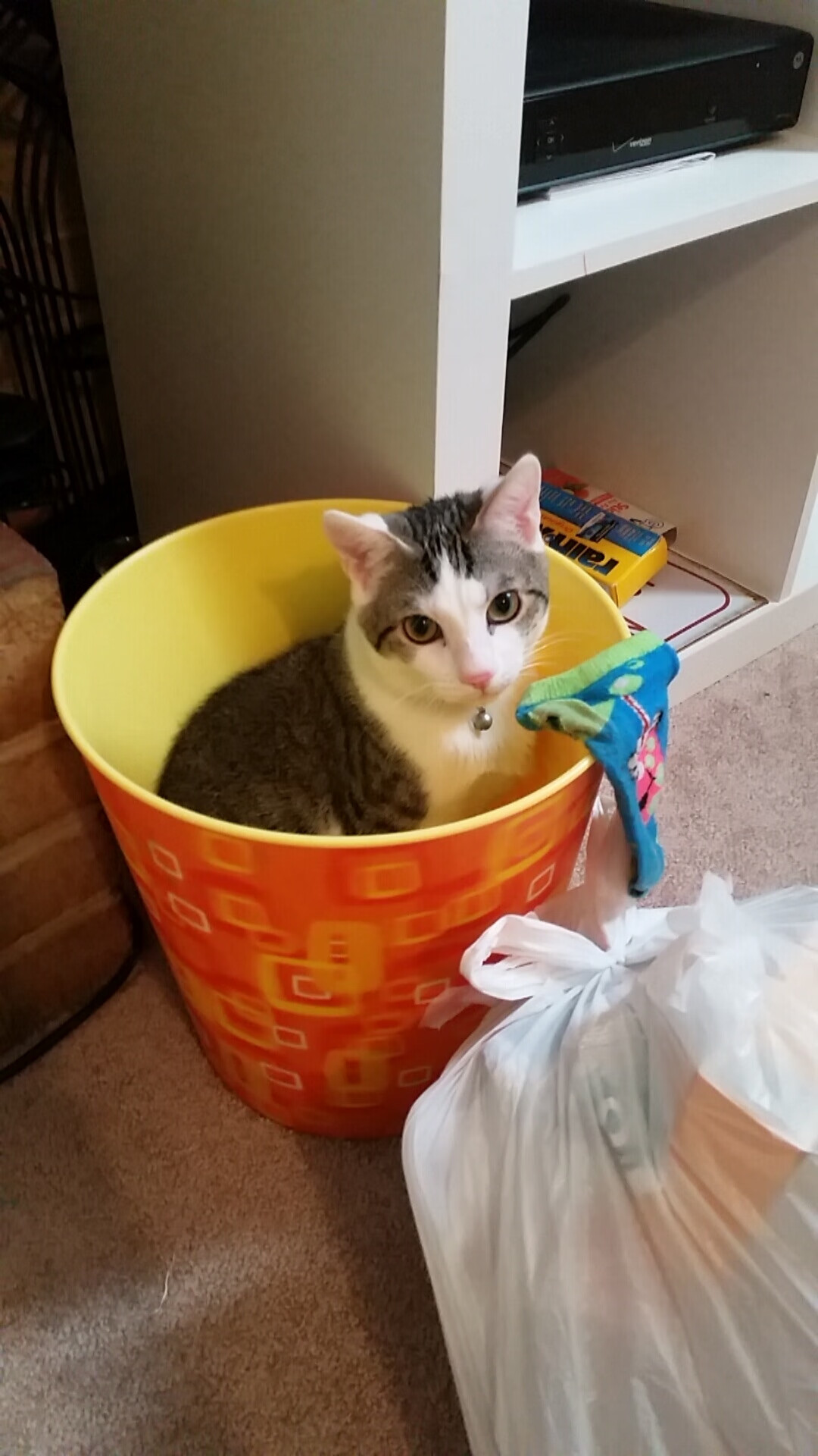 逆天改命！拉文48分天神下凡，掘金抢七绝境带走热火！