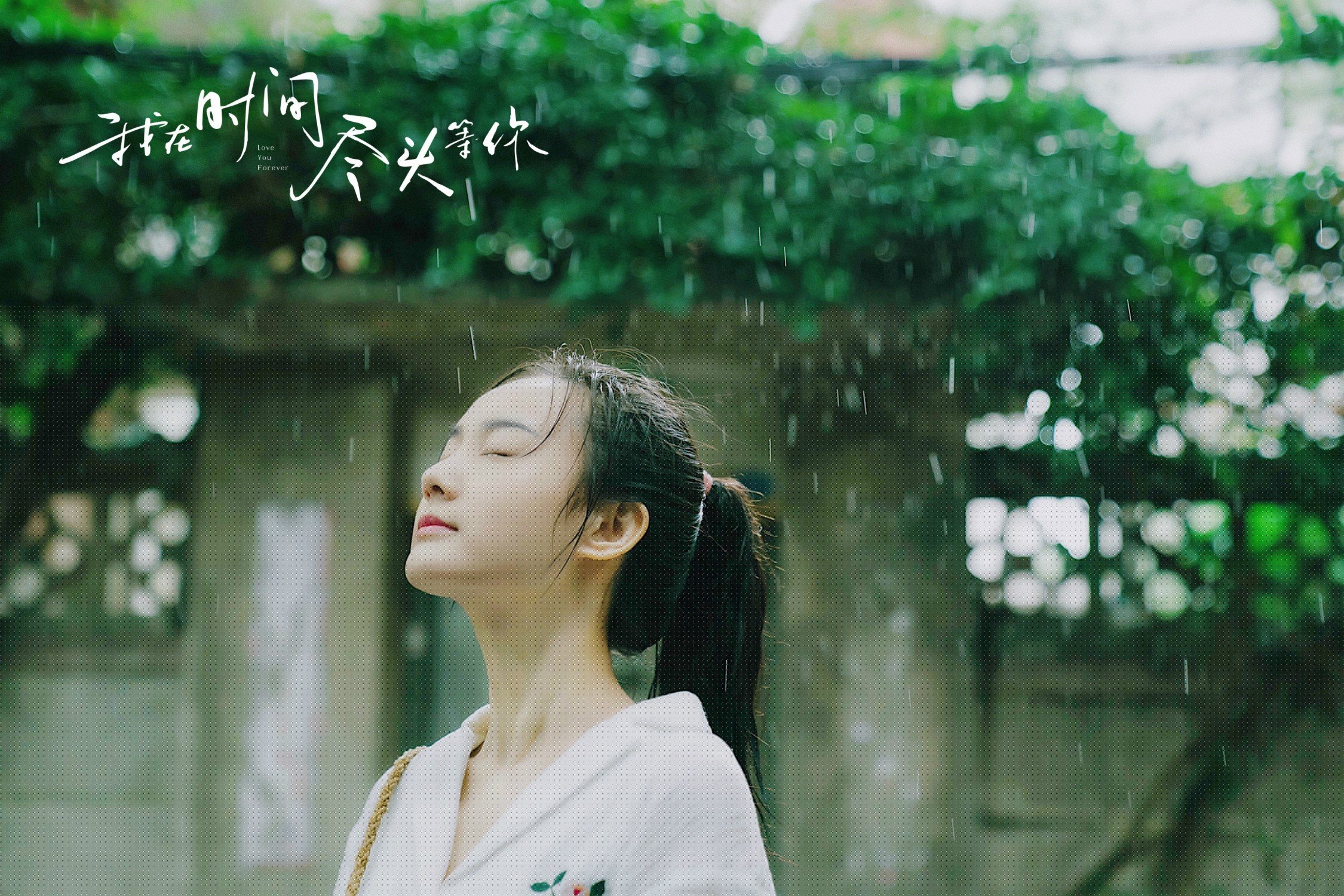 黄黑审判夜,欧文在德甲争冠战的救赎之路