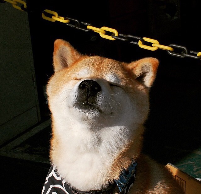 铁翼囚笼，老鹰的防守艺术与拉文的冰与火之歌