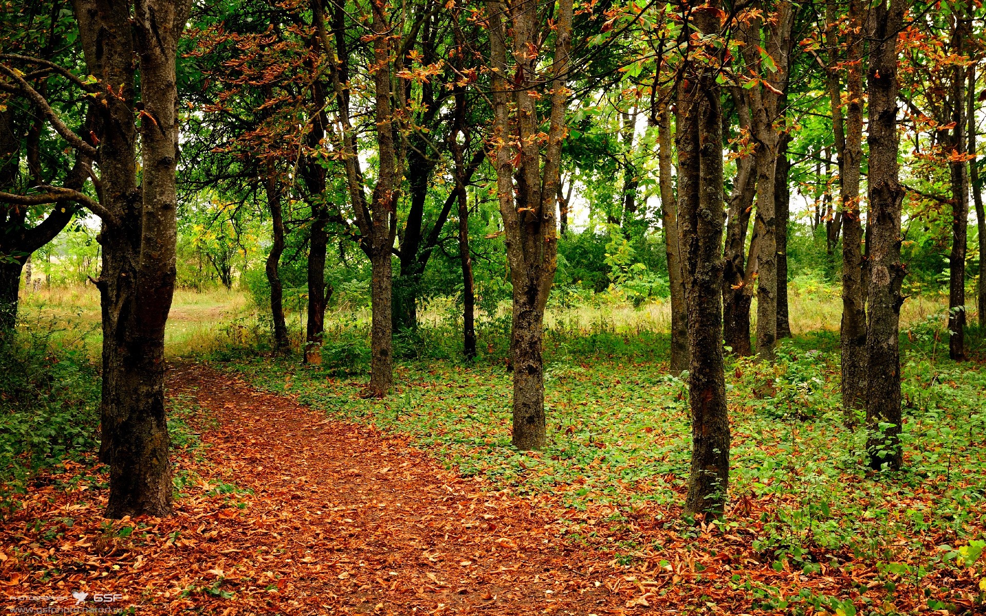东方曙光与西方壁垒，当库尔图瓦成为那不勒斯的叹息之墙