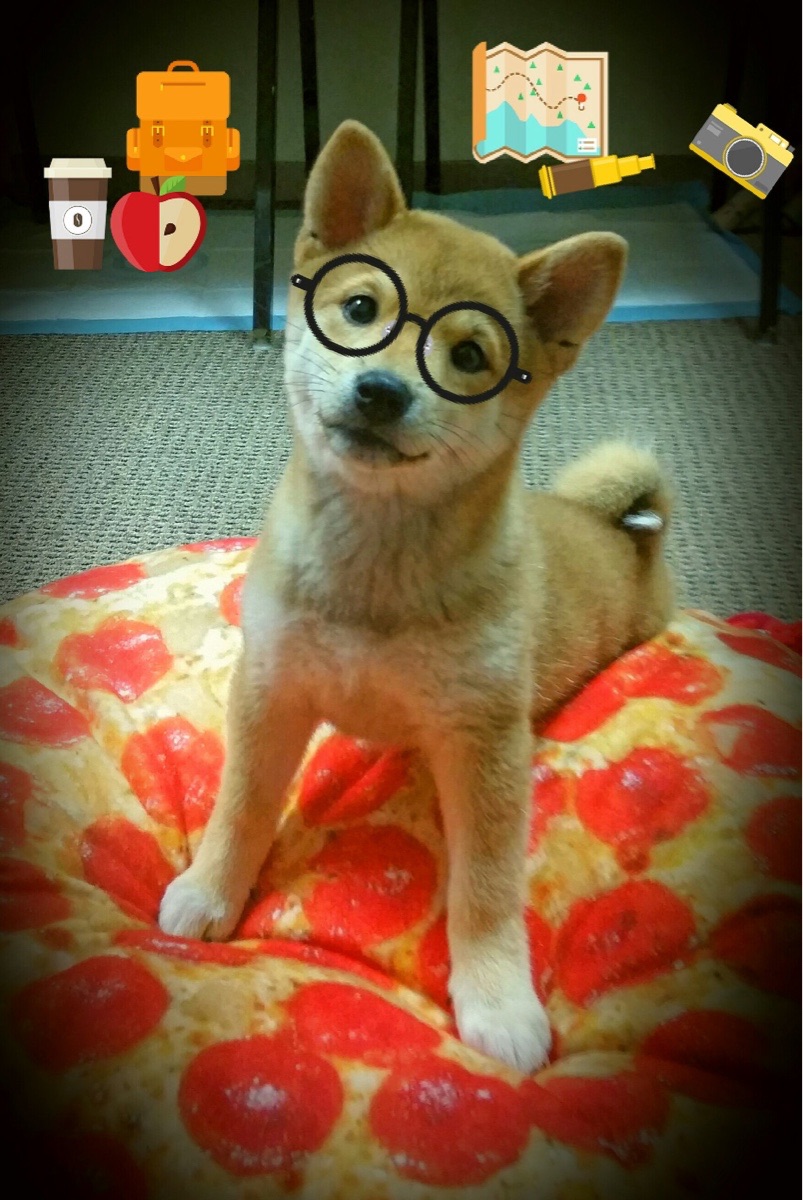 篮球之夜，快船与马刺的鏖战，杜兰特在欧冠半决赛的接管表演