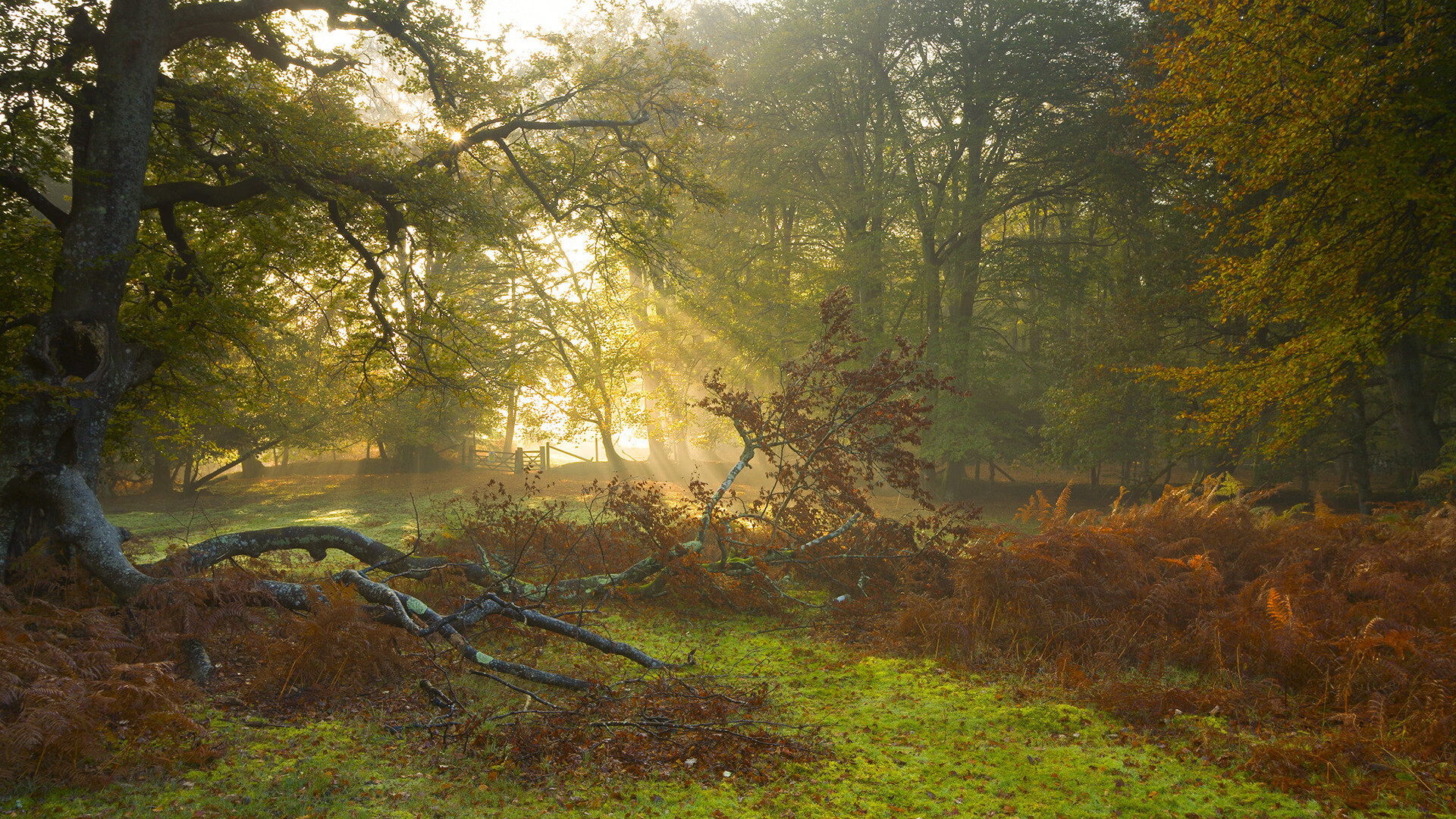 防守的艺术，卡塞米罗在马赛之夜上演教科书级大师课