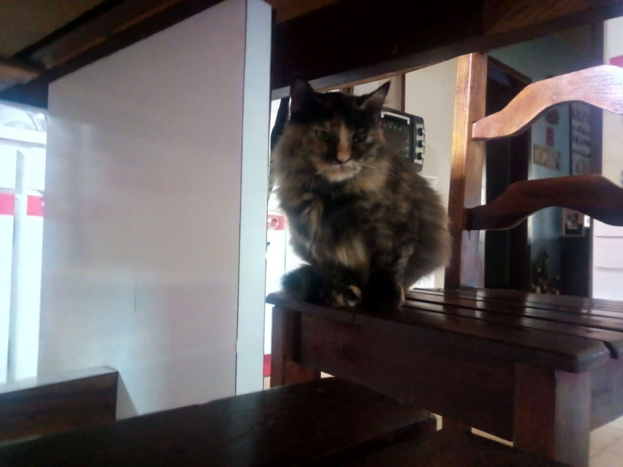 当郭艾伦遇到维金斯式封锁，中国篮球离库里式破局有多远？