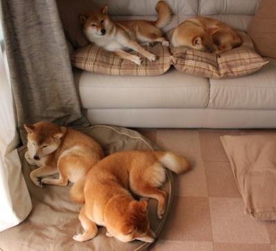 罗德里爆发助荷兰连续得分，高效压制埃及显实力