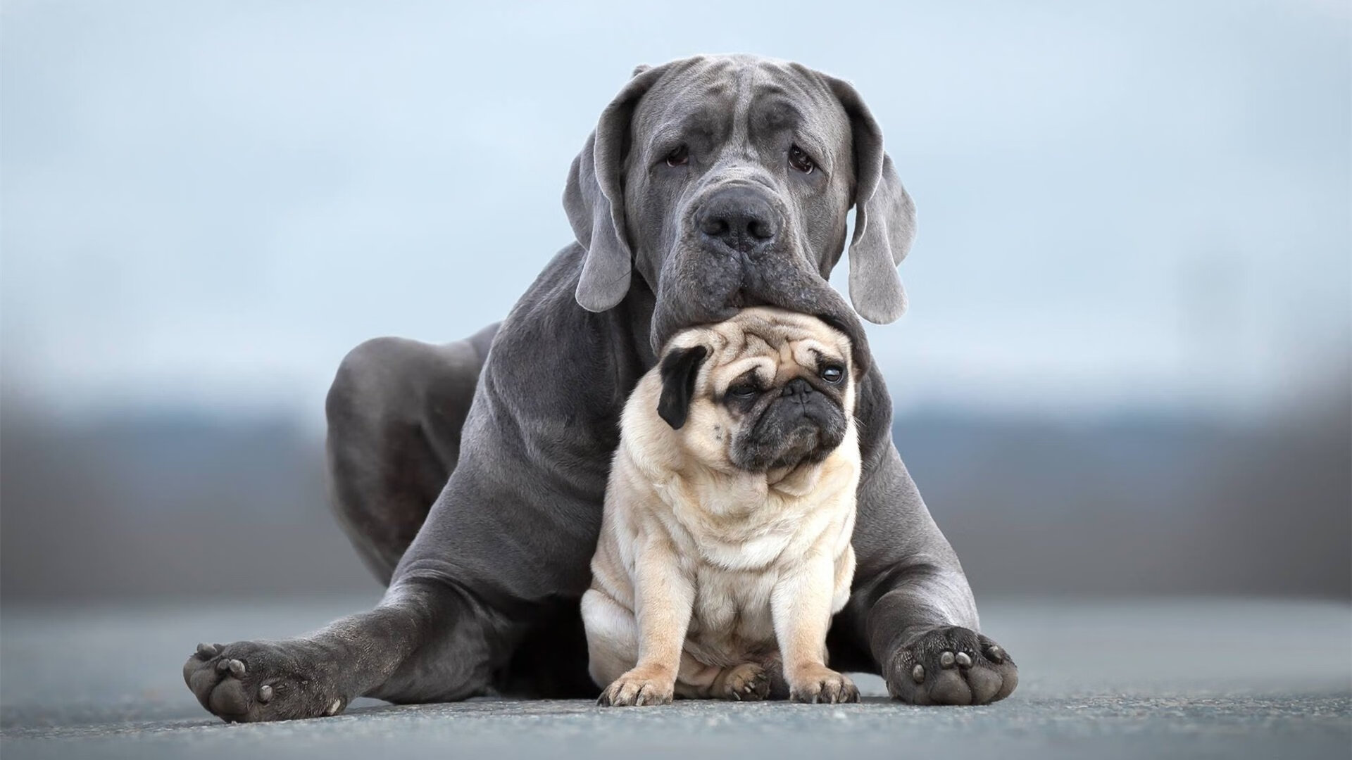 奥纳纳持续制造杀伤，乌克兰锋线终场绝杀马德里竞技