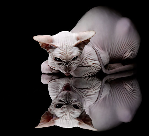 冰与火之歌，美加墨世界杯之夜，杜兰特带领美国队绝境逢生